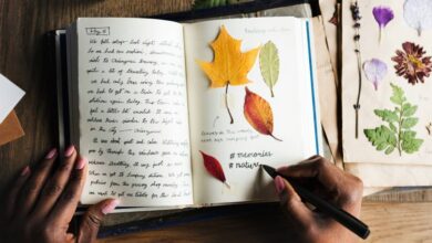 Dream journals and their benefits tracking your dreams for self-discovery